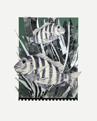Mom's Fish 1